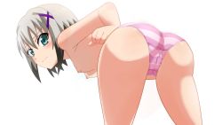 Rule 34 | absurdres, ass, blush, breasts, closed mouth, feet out of frame, green eyes, highres, leaning forward, looking at viewer, looking back, lord dearche, lyrical nanoha, mahou shoujo lyrical nanoha, nipples, panties, pink panties, sarura, small breasts, standing, striped clothes, striped panties, thighs, underwear, white background, white hair