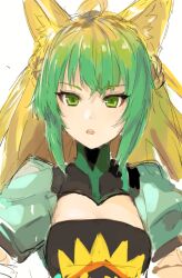Rule 34 | 1girl, ahoge, animal ears, atalanta (fate), blonde hair, cleavage cutout, clothing cutout, dress, fate/apocrypha, fate/grand order, fate (series), gradient hair, green dress, green eyes, green hair, looking at viewer, maido mido, multicolored hair, parted lips, simple background, sketch, solo, teeth, upper body, upper teeth only, white background