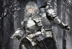 Rule 34 | 10s, 1boy, 1girl, 2015, armor, artist name, back-to-back, bare tree, braid, branch, breastplate, chainmail, dated, faulds, forest, full armor, gauntlets, grey eyes, grey hair, grey theme, hand on hilt, unworn headwear, helmet, unworn helmet, holding, image sample, knight, long hair, looking away, nature, original, outdoors, parted lips, pixiv sample, plate armor, saberiii, signature, single braid, snow, snowing, standing, sword, tree, weapon, white hair, winter