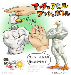 Rule 34 | abs, bird, commentary request, copyright notice, crossed arms, disembodied limb, duck, matataku, muscular, original, soap bottle, translation request