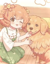 Rule 34 | 1girl, :3, animal ears, apron, bell, blush, bow, brown eyes, closed mouth, clothes writing, collarbone, commentary request, dog, dog ears, dog girl, dog tail, green apron, hair bell, hair bow, hair ornament, highres, indoors, inuakarisan, jingle bell, leaf print, looking at viewer, on floor, one eye closed, orange hair, orange tail, original, pet, petting, print apron, red bow, seiza, shirt, short hair, short sleeves, sitting, solo, striped bow, tail, tareme, thick eyebrows, tongue, tongue out, white shirt