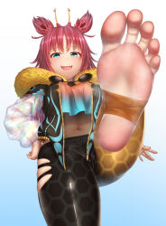 Rule 34 | 1girl, :d, animal ears, barefoot, black pants, blue background, breasts, fangs, feet, foot focus, foot up, foreshortening, fur trim, gradient background, greek toe, green eyes, hand on own hip, highres, jacket, large breasts, leg up, long hair, long sleeves, looking at viewer, navel, no shoes, open mouth, original, paid reward available, pants, pink hair, red hair, see-through, smile, soles, solo, standing, standing on one leg, steaming body, stirrup legwear, teeth, toeless legwear, toes, torn clothes, two side up, upper teeth only, virtual youtuber, yui hiroshi