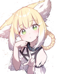 Rule 34 | 1girl, :o, animal ear fluff, animal ears, arknights, bare shoulders, beudelb, blonde hair, blouse, blush, braid, braided hair rings, commentary request, cropped torso, fox ears, green eyes, hair rings, hands up, head tilt, highres, infection monitor (arknights), looking at viewer, material growth, multicolored hair, oripathy lesion (arknights), parted lips, shirt, simple background, solo, suzuran (arknights), two-tone hair, upper body, white background, white hair, white shirt