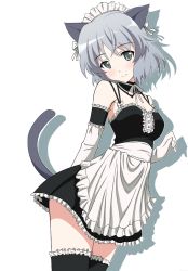 Rule 34 | 00s, 1girl, akishima kei, alternate costume, animal ears, apron, black thighhighs, blush, cat ears, cat tail, choker, elbow gloves, enmaided, gloves, green eyes, light smile, looking at viewer, maid, maid apron, maid headdress, sanya v. litvyak, short hair, silver hair, simple background, solo, standing, strike witches, tail, thighhighs, waist apron, white background, world witches series, zettai ryouiki