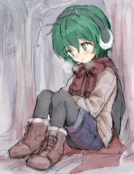 Rule 34 | 1girl, against tree, antennae, bad id, bad pixiv id, blush, boots, breath, coat, cross-laced footwear, earmuffs, facing away, forest, frown, furorida, green eyes, green hair, hand on lap, highres, knees to chest, looking down, matching hair/eyes, nature, outdoors, pantyhose, scarf, short hair, shorts, sitting, solo, touhou, tree, wriggle nightbug