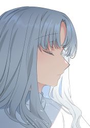 Rule 34 | 1girl, absurdres, caren hortensia, closed eyes, closed mouth, eyes visible through hair, fate/hollow ataraxia, fate (series), hair between eyes, highres, long hair, looking to the side, noko morokoshi, simple background, solo, sparkle, upper body, wavy hair, white background, white hair