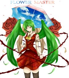 Rule 34 | ascot, blue sky, brown wings, cloud, collared shirt, english text, feathered wings, feathers, flower, green hair, green wings, kazami yuuka, long sleeves, multiple wings, parasol, petals, plaid, plaid skirt, plaid vest, red eyes, rose, seihou, shirt, simple background, skirt, sky, solo, thighhighs, thorns, tiamat (momokuri mannen), touhou, umbrella, vest, when you see it, white background, wings