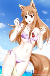 Rule 34 | 1girl, animal ears, bikini, blue sky, breasts, brown hair, cloud, day, dutch angle, floating hair, groin, highres, holo, jewelry, kimmy77, long hair, looking at viewer, navel, necklace, ocean, open mouth, outdoors, pouch, purple bikini, red eyes, side-tie bikini bottom, sky, small breasts, solo, sparkle, spice and wolf, standing, swimsuit, tail, underboob, watermark, wolf ears, wolf girl, wolf tail