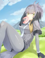 Rule 34 | 10s, 1girl, blue sky, blurry, cloud, cloudy sky, commentary request, day, depth of field, food, green eyes, grey hair, grey pantyhose, holding, japari bun, kemono friends, layered sleeves, long hair, long sleeves, looking at viewer, mashita (kuzsat), mountain, multicolored hair, necktie, pantyhose, shoebill (kemono friends), short over long sleeves, short sleeves, shorts, sitting, sky, solo, tail, two-tone hair