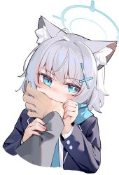 Rule 34 | 1girl, 1other, ahoge, animal ear fluff, animal ears, biting, biting another&#039;s hand, blue archive, blue eyes, blue halo, blue scarf, blush, buttons, cross hair ornament, fang, grey hair, grey jacket, hair ornament, halo, hand on another&#039;s face, hands up, highres, jacket, lapels, long sleeves, looking at viewer, open clothes, open jacket, painterliuhao, purple jacket, scarf, shiroko (blue archive), shirt, short hair, simple background, skin fang, upper body, white background, white shirt, wolf ears, wolf girl