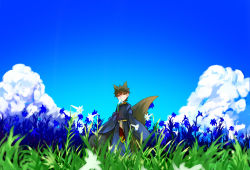 Rule 34 | 1boy, aged down, animal ears, brown eyes, brown hair, child, cloud, fate/zero, fate (series), field, grass, japanese clothes, kemonomimi mode, kotomine kirei, male focus, miyakami, scenery, sky, solo, tail, wolf ears, wolf tail