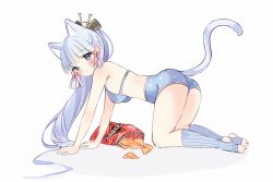 Rule 34 | 1girl, all fours, animal ears, anyuu, ass, ayaka (genshin impact), bag of chips, bare shoulders, blue eyes, blue socks, blush, cat ears, cat tail, commentary, commentary request, doritos, food, full body, genshin impact, hair ornament, hair stick, hairpin, long hair, looking at viewer, no shoes, ribbed legwear, shadow, socks, solo, stirrup legwear, tail, toeless legwear, underwear, underwear only, white background