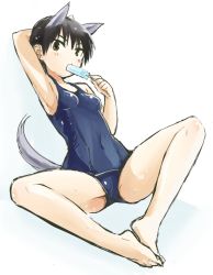 Rule 34 | 1girl, animal ears, arm behind head, arm up, armpits, bare legs, barefoot, black hair, blush, brown eyes, butterfly sitting, covered navel, feet, feet together, food, knees apart feet together, leaning back, legs, looking at viewer, mozu (peth), one-piece swimsuit, popsicle, school swimsuit, short hair, sitting, sketch, solo, spread legs, strike witches, strike witches zero, swimsuit, tail, toes, wakamoto tetsuko, world witches series