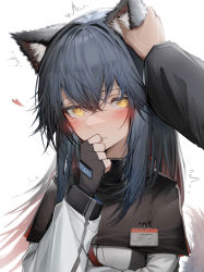 Rule 34 | 1girl, absurdres, animal ears, arknights, black gloves, black hair, black jacket, blush, breasts, character name, colored inner hair, fingerless gloves, gloves, hair between eyes, hand to own mouth, hand up, heart, highres, id card, jacket, long sleeves, looking at viewer, multicolored clothes, multicolored hair, multicolored jacket, petting, pov, pov hands, red hair, rubbing ears, simple background, small breasts, solo focus, tab head, texas (arknights), trembling, two-tone jacket, upper body, white background, white jacket, wolf ears, yellow eyes