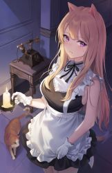 Rule 34 | 1girl, absurdres, animal ears, apron, bare arms, bare shoulders, black dress, blonde hair, breasts, candle, cat, cat ears, cat girl, cat tail, commentary, dress, emyo, english commentary, frilled dress, frills, garter straps, gloves, highres, holding, long hair, looking at viewer, maid, maid apron, medium breasts, mole, mole under eye, original, parted lips, purple eyes, sleeveless, sleeveless dress, smile, solo, sweat, tail, white gloves