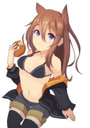 Rule 34 | 1girl, absurdres, animal ears, arashishi, bare shoulders, bikini, bikini top only, black bikini, black jacket, black thighhighs, blue eyes, blush, breasts, brown hair, closed mouth, commentary request, doughnut, food, from above, grey shorts, hair between eyes, highres, holding, holding food, horse ears, jacket, long hair, long sleeves, looking at viewer, looking up, navel, off shoulder, original, short shorts, shorts, simple background, sitting, small breasts, smile, solo, swimsuit, thighhighs, transparent background, white background