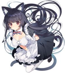 Rule 34 | 1girl, animal ears, apron, black dress, black footwear, black hair, breasts, cat ears, cleavage, closed mouth, commentary request, dress, frilled apron, frills, gloves, jumping, long hair, looking at viewer, maid, maid apron, medium breasts, original, pantyhose, puffy short sleeves, puffy sleeves, red eyes, shoes, short sleeves, simple background, solo, tareme, very long hair, white apron, white background, white gloves, white pantyhose, yusano