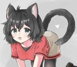 Rule 34 | 1girl, all fours, animal ears, black pantyhose, blue eyes, blush, brown footwear, cat ears, cat girl, cat tail, commentary request, grey shorts, highres, kaban (kemono friends), kemono friends, kemonomimi mode, loafers, looking at viewer, megumi 222, no headwear, no headwear, open mouth, pantyhose, red shirt, shirt, shoes, short sleeves, shorts, solo, t-shirt, tail