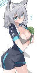Rule 34 | 1girl, animal ear fluff, animal ears, aqua eyes, bike jersey, bike shorts, blue archive, blush, breasts, breath, cleavage, clothes writing, collarbone, cowboy shot, gloves, green gloves, grey hair, hair between eyes, halo, highres, medium breasts, medium hair, mikozin, mismatched pupils, notice lines, official alternate costume, parted lips, shiroko (blue archive), shiroko (cycling) (blue archive), simple background, solo, sportswear, sweat, white background
