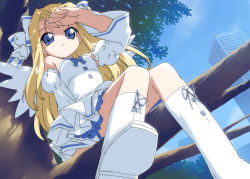 Rule 34 | 1girl, bare shoulders, blonde hair, blue eyes, blue sky, boots, bow, branch, building, day, detached sleeves, dress, dutch angle, from below, hair bow, hand on forehead, highres, in tree, long hair, long sleeves, looking at viewer, pita ten, ribbon, sasha, sasha (pita ten), sitting, sitting in tree, sky, skyscraper, smile, solo, teruterubouzu, tree, very long hair, white footwear, wings