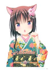 Rule 34 | 1girl, absurdres, animal ears, artist name, black hair, blush, cat ears, eyes visible through hair, flower, hagino chiaki, hair flower, hair ornament, head tilt, highres, hinako note, japanese clothes, kimono, looking at viewer, march-bunny, obi, open mouth, page number, paw pose, pink flower, purple eyes, sash, short hair with long locks, sidelocks, simple background, solo, white background, yukata
