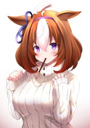Rule 34 | 1girl, absurdres, animal ears, blush, breasts, brown background, brown hair, commentary request, food, food in mouth, gradient background, hair between eyes, hairband, hands up, highres, horse ears, large breasts, long sleeves, meisho doto (umamusume), mouth hold, multicolored hair, pocky, puffy long sleeves, puffy sleeves, purple eyes, purple hairband, ribbed sweater, shibakame, sleeves past wrists, solo, sweater, turtleneck, turtleneck sweater, two-tone hair, umamusume, upper body, white background, white hair, white sweater
