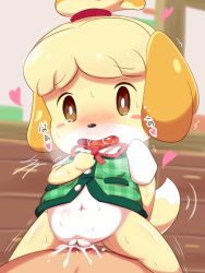 Rule 34 | 1boy, 1girl, blonde hair, blush, bottomless, cum, cum in pussy, animal crossing, furry, girl on top, hetero, japanese text, moaning, navel, nintendo, open mouth, pointy ears, ponytail, saliva, sex, isabelle (animal crossing), short hair, spread legs, sweat, vaginal