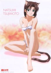 Rule 34 | 1990s (style), 1girl, ahoge, animal ears, bandeau, barefoot, bikini, breasts, brown hair, cat ears, cat tail, character name, cleavage, copyright name, fang, fang out, fangs, feet, full body, green eyes, highres, kemonomimi mode, knee up, large breasts, light smile, lingerie, logo, looking at viewer, nakajima atsuko, official art, own hands together, retro artstyle, scan, short hair, sitting, smile, solo, swimsuit, taiho shichauzo, tail, tsujimoto natsumi, underboob, underwear, v arms, white bikini