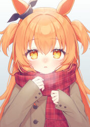 Rule 34 | akagi meito, animal ears, blush, bow, breath, brown coat, coat, cold, curled fingers, ear ribbon, hair between eyes, hair intakes, hands up, highres, horse ears, horse girl, long hair, long sleeves, looking at viewer, mayano top gun (umamusume), nose blush, orange eyes, orange hair, parted lips, plaid, plaid scarf, red scarf, scarf, simple background, sleeves past wrists, solo, two side up, umamusume, upper body, white background