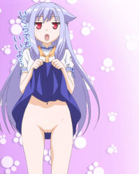 Rule 34 | 1girl, animal ears, cleft of venus, clothes lift, female focus, highres, kiriya nozomi, legs, lifting own clothes, long hair, mayoi neko overrun!, navel, no panties, nude filter, pussy, skirt, skirt lift, solo, tagme, third-party edit, uncensored, upskirt