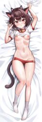Rule 34 | 1girl, :o, absurdres, animal collar, animal ear hairband, animal ears, arm up, armpits, artist request, bed sheet, bell, belt collar, black hairband, blush, breasts, breasts out, brown hair, brown tail, buruma, buruma pull, cameltoe, cat ear hairband, cat ears, cat tail, clothes lift, collar, collarbone, commentary request, commission, dakimakura (medium), fake animal ears, frown, full body, gluteal fold, groin, gym uniform, hair between eyes, hairband, hand up, highres, jingle bell, knee up, korean commentary, legs, lifted by self, looking at viewer, lying, mole, mole on breast, mole under eye, neck bell, nipples, no shoes, on back, original, parted lips, prunechi, red buruma, red collar, red eyes, red shorts, red trim, second-party source, sheet grab, shirt, shirt lift, short hair, short shorts, shorts, small breasts, socks, solo, stomach, sweat, tail, thighs, white shirt, white socks