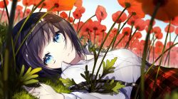 Rule 34 | 1girl, black hair, blue eyes, blue sky, collared shirt, commentary request, day, dutch angle, field, flower, flower field, grass, highres, long sleeves, looking at viewer, looking to the side, lying, on back, on grass, original, outdoors, parted lips, plaid, plaid skirt, red flower, red skirt, revision, shirt, skirt, sky, sogawa, solo, suspender skirt, suspenders, suspenders slip, white shirt