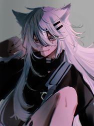 Rule 34 | 1girl, animal ears, arknights, bad id, bad twitter id, bare legs, black jacket, black nails, blood, blood on face, breasts, commentary request, grey background, grey eyes, hair between eyes, hair ornament, hairclip, highres, hojiiii444, jacket, knee up, lappland (arknights), long hair, looking at viewer, material growth, nail polish, oripathy lesion (arknights), scar, scar across eye, scar on face, silver hair, sitting, small breasts, smile, solo, thighs, very long hair, wolf ears, wolf girl