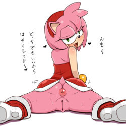 Rule 34 | 1girl, amy rose, anus, ass, bad id, cleft of venus, furry, furry female, green eyes, looking at viewer, looking back, pussy, sega, simple background, solo, sonic (series), spread legs, sweat, tail, tamagoroo, translated, uncensored