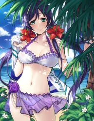 Rule 34 | 10s, 1girl, asa (teng zi), bad id, bad pixiv id, bare shoulders, beach, bikini, black box, blush, breasts, breasts apart, day, female focus, green eyes, hair ornament, large breasts, long hair, looking at viewer, love live!, love live! school idol festival, love live! school idol project, navel, palm tree, purple hair, smile, solo, standing, swimsuit, tojo nozomi, towel, tree, twintails
