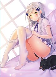 Rule 34 | 1girl, absurdres, animal, ass, bad id, bad twitter id, black cat, black panties, breasts, cat, clothes pull, collared shirt, cross hair ornament, dutch angle, embarrassed, facial mark, feet, girls&#039; frontline, green eyes, hair ornament, highres, hk416 (girls&#039; frontline), knees up, large breasts, long hair, looking at viewer, miniskirt, neck ribbon, no shoes, panties, pantyhose, pantyhose pull, pillow, plaid, plaid skirt, pleated skirt, purple ribbon, reclining, reel (riru), ribbon, shirt, short sleeves, sidelocks, silver hair, skirt, solo, underwear, white pantyhose, white shirt, white skirt