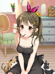 Rule 34 | 1girl, black dress, bow, braid, breasts, brown eyes, brown hair, cat, chair, chest of drawers, cleavage, curtains, dress, food, hair bow, hair ornament, hairclip, highres, indoors, lamp, mirror, moe2019, mouth hold, original, plant, pocky, ponytail, potted plant, rizkiawan, sitting, small breasts, stuffed toy, window