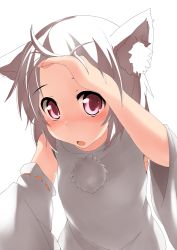 Rule 34 | 1girl, :o, animal ears, backlighting, blush, detached sleeves, female focus, forehead, inubashiri momiji, leaning forward, looking at viewer, no headwear, red eyes, short hair, simple background, solo, terazip, touhou, upper body, white hair, wolf ears