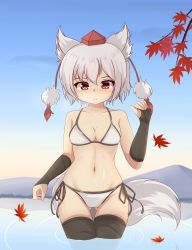 Rule 34 | animal ears, autumn leaves, bare shoulders, bikini, black thighhighs, blush, breasts, collarbone, day, groin, hat, highres, hotel01, inubashiri momiji, leaf, looking at viewer, medium breasts, mountain, nature, navel, outdoors, red eyes, short hair, silver hair, swimsuit, tail, thighhighs, tokin hat, touhou, wading, water, wolf ears, wolf tail