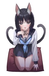 Rule 34 | 1girl, :p, \||/, absurdres, animal ear fluff, animal ears, arm at side, black eyes, black hair, black ribbon, black skirt, blue archive, blue neckerchief, blush, bob cut, breasts, bright pupils, cat ears, cat tail, closed mouth, collarbone, commentary, eyelashes, fingernails, hair between eyes, hand up, highres, kikyou (blue archive), long sleeves, looking at viewer, medium breasts, miniskirt, multiple tails, neck ribbon, neckerchief, paw pose, pillow, pleated skirt, ribbon, seiza, shirt, short hair, simple background, siru, sitting, skirt, solo, symbol-only commentary, tail, tongue, tongue out, tsurime, two tails, white background, white pupils, white shirt