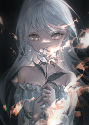 Rule 34 | 1girl, bare shoulders, black background, blue hair, brown eyes, burning, collarbone, commentary request, covered mouth, dress, eyelashes, fiery hair, fire, floating hair, flower, flower over mouth, frilled dress, frilled sleeves, frills, hands up, highres, holding, holding flower, long hair, long sleeves, marutani, off-shoulder dress, off shoulder, original, rose, sad, silver hair, simple background, solo, straight hair, upper body, white flower, white rose