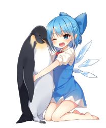 Rule 34 | 1girl, ;d, animal, animal hug, bad id, bad pixiv id, bare legs, barefoot, bird, blue dress, blue eyes, blue hair, bow, cirno, dress, hair bow, ice, ice wings, kneeling, matching hair/eyes, one eye closed, open mouth, penguin, pointy ears, puffy short sleeves, puffy sleeves, shirt, shnva, short sleeves, simple background, smile, solo, touhou, white background, wings