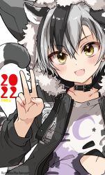 Rule 34 | 1boy, 2022, :d, animal ears, artist name, black collar, black hair, black jacket, blush, brown eyes, chinese zodiac, collar, collarbone, commentary request, earrings, fang, fur-trimmed hood, fur trim, grey hair, hair between eyes, hand up, highres, hood, hood up, hooded jacket, jacket, jewelry, kamiyoshi rika, long sleeves, looking at viewer, male focus, multicolored hair, navel, nijisanji, open clothes, open jacket, open mouth, romaji text, shirt, simple background, smile, solo, streaked hair, stud earrings, suzuki masaru, tail, tiger boy, tiger ears, tiger tail, torn clothes, torn shirt, upper body, v, virtual youtuber, white background, white shirt, year of the tiger