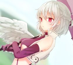 Rule 34 | 1girl, adapted costume, armpit peek, bad id, bad pixiv id, bare shoulders, braid, breasts, crop top, crop top overhang, cropped jacket, elbow gloves, feathered wings, french braid, from side, gloves, half updo, holding, holding umbrella, honotai, jacket, kishin sagume, looking at viewer, looking away, midriff, open clothes, open jacket, purple gloves, race queen, red eyes, short hair, silver hair, single wing, small breasts, solo, touhou, umbrella, underboob, upper body, white wings, wings, zipper