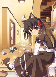 Rule 34 | 1girl, animal ears, ball, baseball, baseball bat, bell, bent over, between legs, black cat, black dress, black pantyhose, black ribbon, blue eyes, blush, book, bookshelf, box, brown dress, brown hair, cardboard box, cat, cat ears, cat tail, cat teaser, catfight, claws, climbing, collar, door, dress, frilled dress, frilled ribbon, frills, green eyes, hair bell, hair ornament, hair ribbon, hair rings, hallway, hand between legs, highres, indoors, layered dress, light, light smile, looking at viewer, lying, mary janes, masaki (machisora), mirror, neck bell, o o, original, pantyhose, poster (object), puffy sleeves, red ribbon, reflection, ribbon, room, sash, shelf, shoes, short hair, sitting, smile, socks, solo, stairs, striped, tail, tissue, tissue box, too many, too many cats, twintails, v arms, vase, white cat, white ribbon, white socks