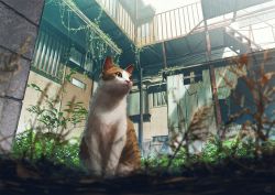 Rule 34 | animal, animal focus, blurry, blurry foreground, building, cat, commentary request, day, depth of field, door, grass, looking away, mocha (cotton), no humans, original, outdoors, overgrown, plant, scenery, signature, sunlight, vines