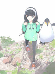 Rule 34 | 1girl, akinbo (hyouka fuyou), bird, black hair, black pantyhose, brown eyes, character request, dress, green sweater, hairband, hood, hood down, hooded sweater, long hair, looking to the side, pantyhose, penguin, red footwear, solo, squirrel, sweater, sweater dress, walking, white hairband