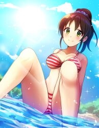 Rule 34 | 1girl, bare shoulders, bikini, black hair, blue sky, blush, breasts, cleavage, closed mouth, collarbone, day, dot nose, dutch angle, green eyes, hair ornament, hair scrunchie, harada miyo, highres, idolmaster, idolmaster cinderella girls, idolmaster cinderella girls starlight stage, knees up, large breasts, lens flare, looking at viewer, outdoors, ponytail, purple scrunchie, red bikini, scrunchie, short hair, sitting, sky, smile, solo, sparkle, splashing, spread legs, striped bikini, striped clothes, sun, sunlight, swimsuit, tree, water, z.nov
