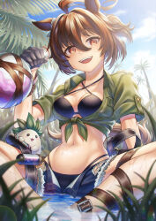 Rule 34 | 1girl, agnes tachyon (lunatic lab) (umamusume), agnes tachyon (umamusume), ahoge, animal ears, ankle belt, bikini, black bikini, black gloves, blue shorts, blurry, blurry background, blurry foreground, blush stickers, breast pocket, brown eyes, brown hair, canister, commentary, creature, criss-cross halter, depth of field, ear ornament, flask, gloves, grass, green jacket, groin, hair between eyes, halterneck, highres, holding, holding flask, horse ears, horse girl, horse tail, indian style, jacket, kii-kun (agnes tachyon) (umamusume), looking at viewer, mandrake, micro shorts, midriff, navel, official alternate costume, official alternate hairstyle, open clothes, open mouth, open shorts, outdoors, palm tree, pocket, rlyo (ryo relation), round-bottom flask, short hair, short ponytail, short sleeves, shorts, sitting, solo focus, spread legs, swimsuit, tail, teeth, thigh strap, tied jacket, torn clothes, torn shorts, tree, umamusume, upper teeth only, water, wet