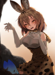Rule 34 | 10s, 1girl, :d, absurdres, animal ears, bad id, bad pixiv id, bare shoulders, blonde hair, blush, bow, bowtie, elbow gloves, eyelashes, gloves, highres, hplay, kemono friends, lucky beast (kemono friends), medium hair, open mouth, serval (kemono friends), serval print, smile, solo, yellow eyes